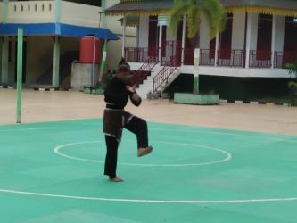 Ekstraklikuler Silat